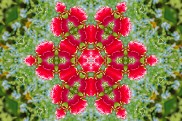 istock abstract background of floral pattern of a kaleidoscope 911940788