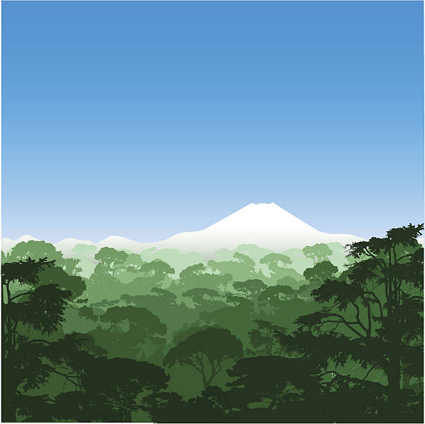 Forest Landscape vector art illustration