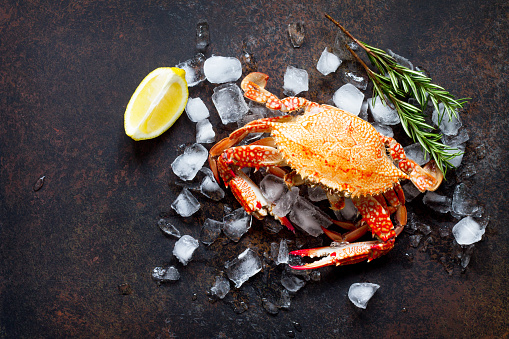 Cooked crab on a stone or slate background. Flat lay. Top view with copy space.