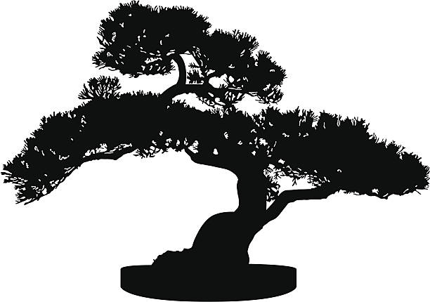 Bonsai Tree Silhouette Bonsai Tree Silhouette bonsai tree stock illustrations