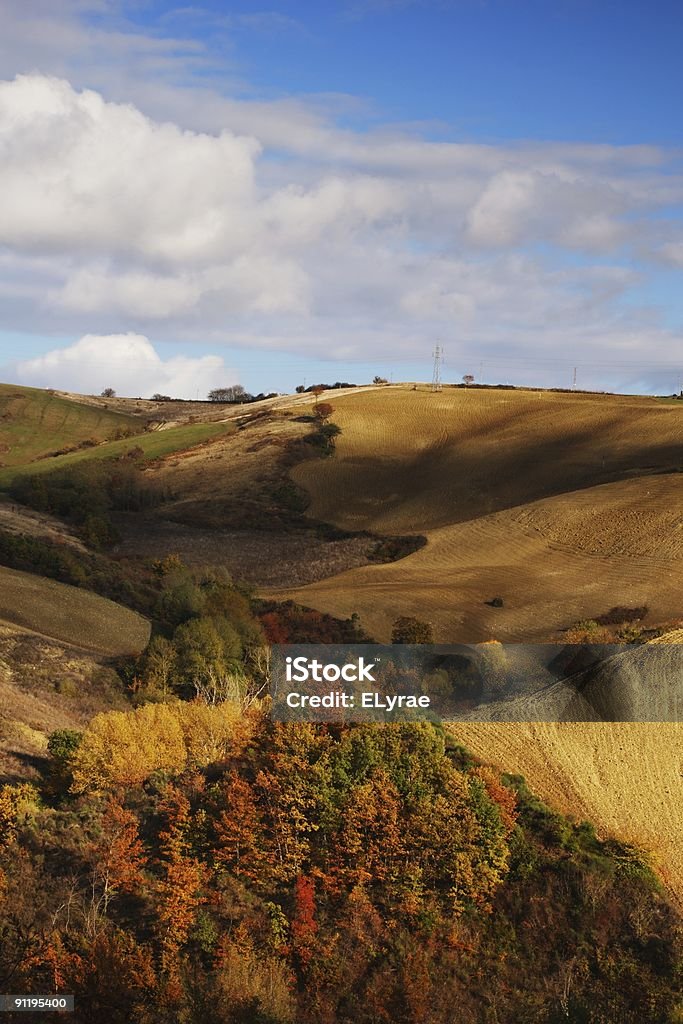 Cores do outono em encosta - Foto de stock de Ajardinado royalty-free