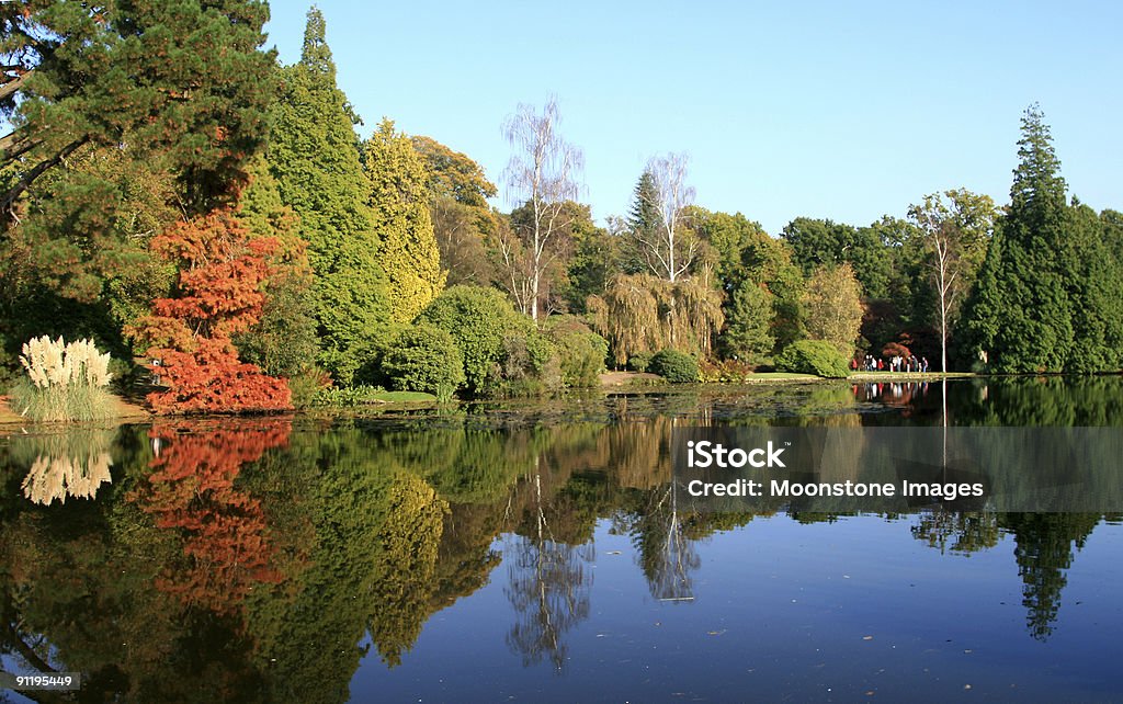 Sheffield Park Gardens w East Sussex, Anglia - Zbiór zdjęć royalty-free (Anglia)