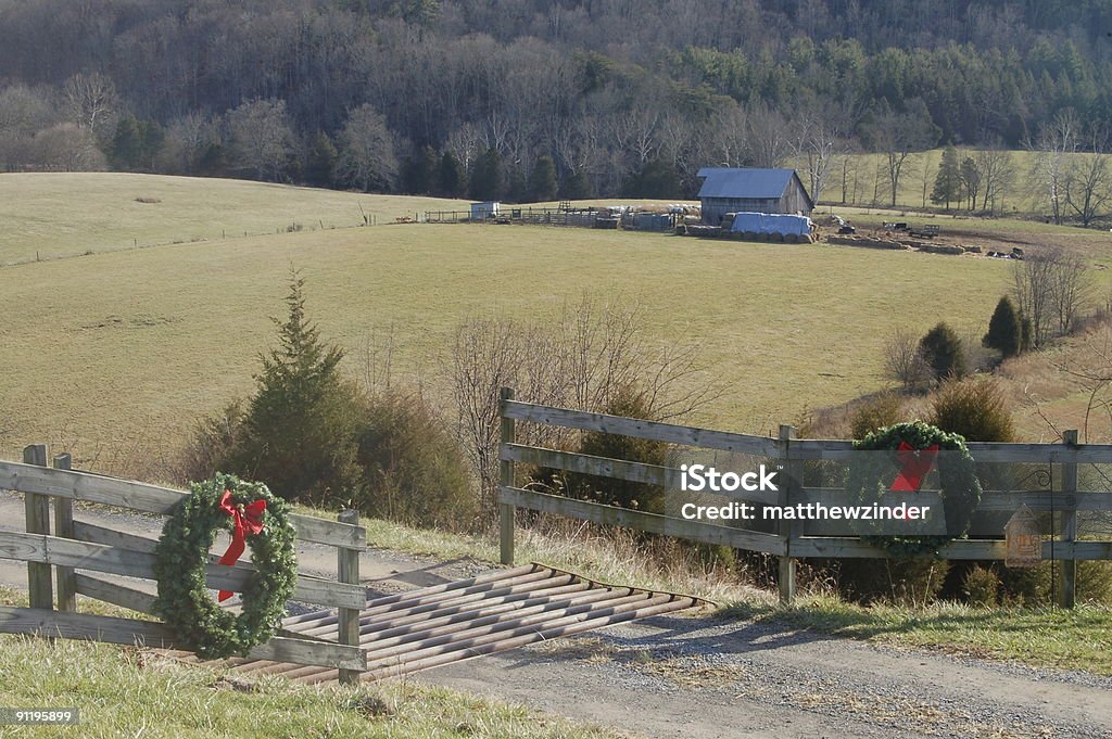 Christmas wreaths po wejściu do miejsca hodowli i tuczu - Zbiór zdjęć royalty-free (Boże Narodzenie)