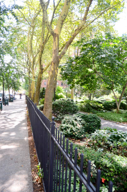 istock New York City Park and Sidewalk 911964432