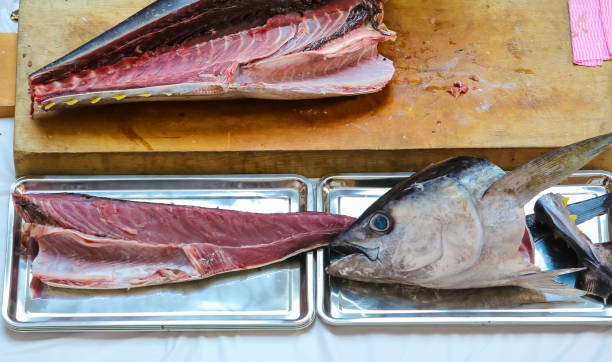 Tuna fish cutting