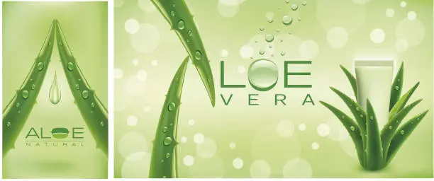 Vector illustration of Aloe vera green shiny sparkles - Illustration