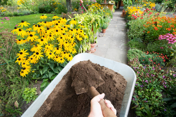 Compost soil stock photo