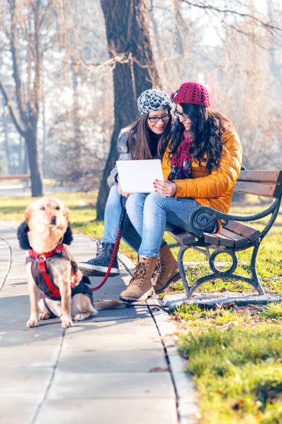 istock Young women using netbook with their dog 911970652