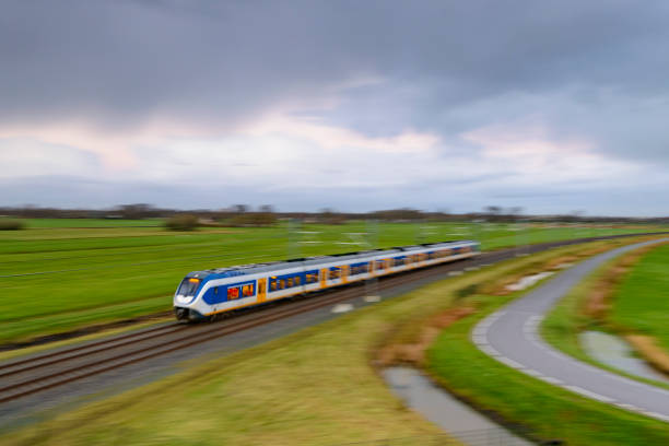 Yellow and blue Dutch passenger train driving through a rural landscape on a dark and rainy fall day. Image with speed effect from the motion blur.