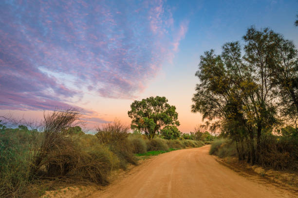 paisagem rural australiana, com estrada de cascalho sujo ans nuvens coloridas no outback da austrália ao nascer do sol/pôr do sol - bush track - fotografias e filmes do acervo