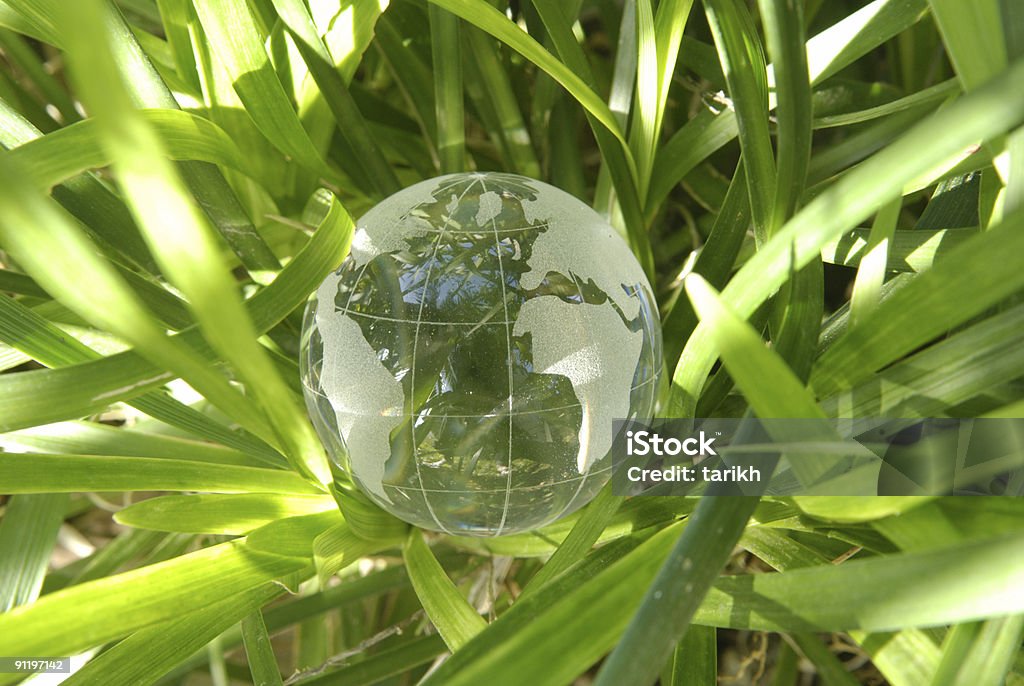 Globo na relva - Royalty-free Cena de tranquilidade Foto de stock