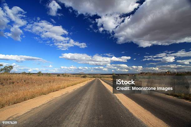 Kruger National Park In Mpumalanga Liegen Südafrika Stockfoto und mehr Bilder von Afrika