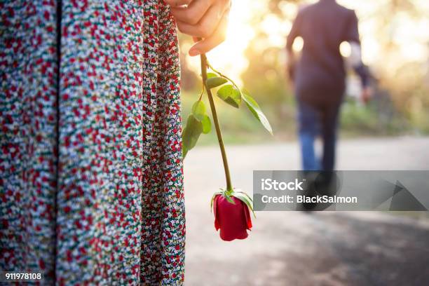Sadness Love In Ending Of Relationship Concept Broken Heart Woman Standing  With A Red Rose On