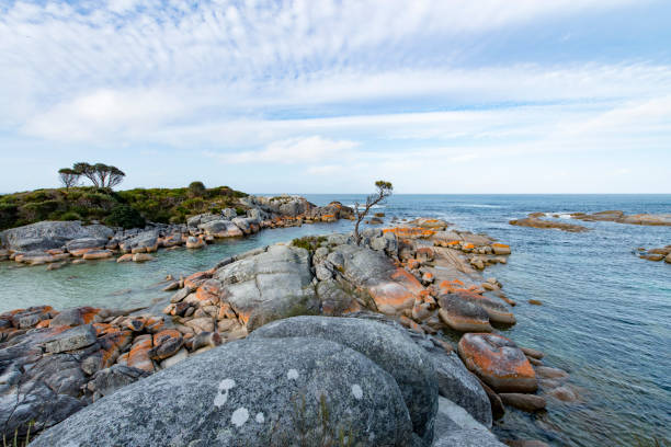 istock Bay of Fires, Tasmania, Australia 911978536