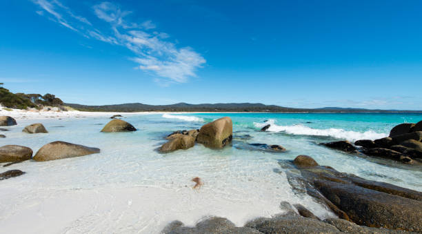 istock Bay of Fires, Tasmania, Australia 911978766