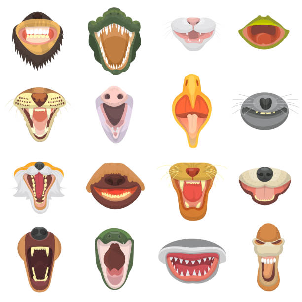 Relevante Bildbeschreibung