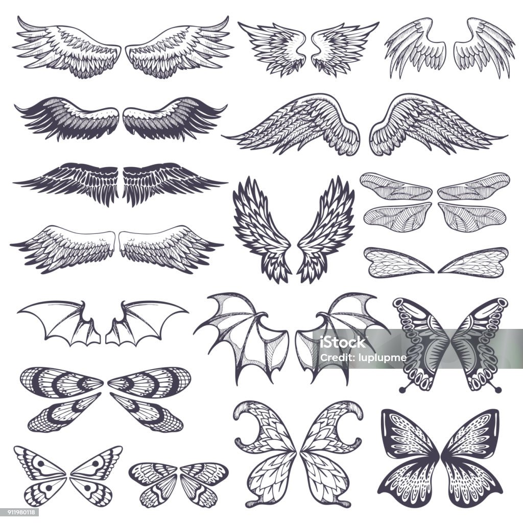 Wings vector flying winged angel with wing-case of bird and butterfly with wingspan illustration black wing-beat tattoo silhouette set isolated on white background Wings vector flying winged angel with wing-case of bird and butterfly with wingspan illustration black wing-beat tattoo silhouette set isolated on white background. Animal Wing stock vector