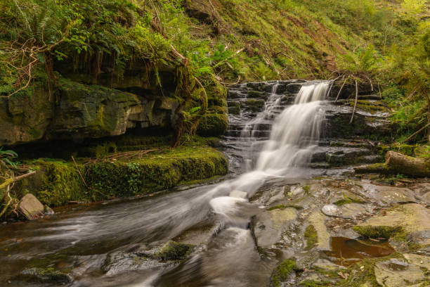 istock Waterfall in Blaen-y-glyn, Wales, UK 911980194