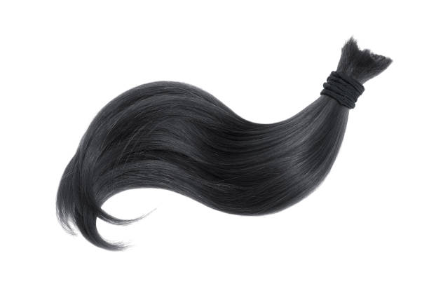 istock Black natural hair on white background 911983220