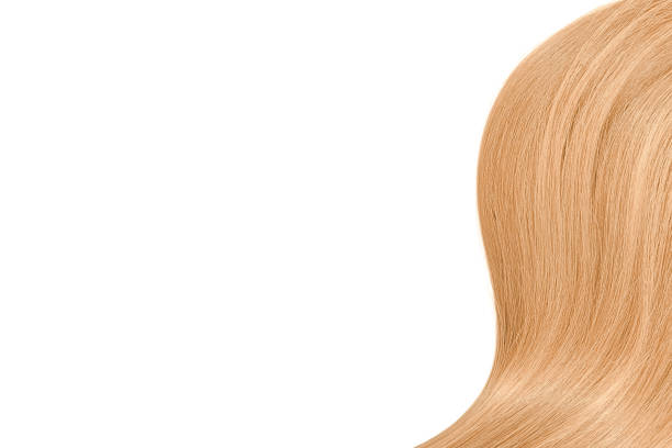 istock Blond hair on white background 911983454