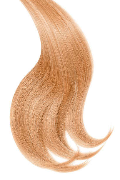 istock Blond hair on white background 911983564