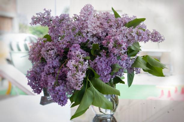istock A bouquet of lilacs in front of light background 911983640