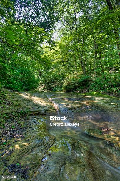 Stream Im Wald Stockfoto und mehr Bilder von Bach - Bach, Baum, Bunt - Farbton