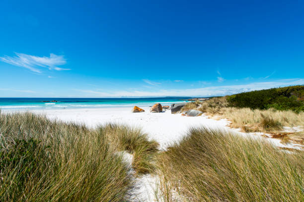 istock Bay of Fires, Tasmania, Australia 911988132