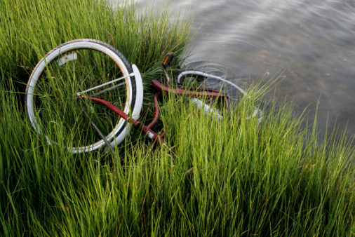 bicycle found abandoned along waters edge in tall grass