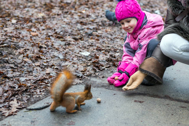 istock Girl with mom feeding squirrel in a forest. 911993040