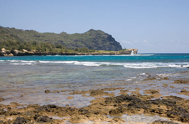 istock Hawaii reef and coastline, Mahalapu Kauai 91199378