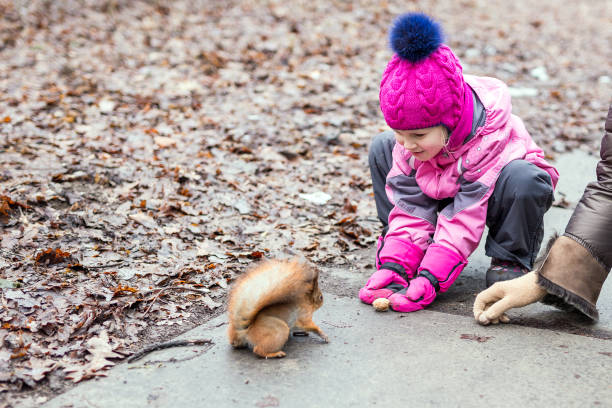 istock Girl with mom feeding squirrel in a forest. 911995180