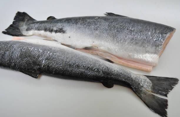 istock carcass of red fish without a head 911995956
