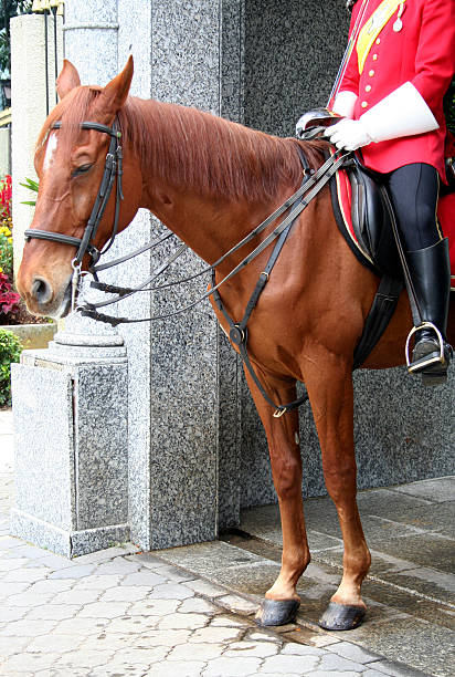 istock Malaysian guard on horseback 91199976