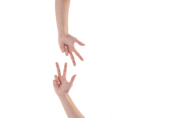 istock Collage of woman hands on white backgrounds 911999920