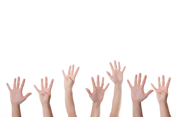 istock Collage of woman hands on white backgrounds 912000012