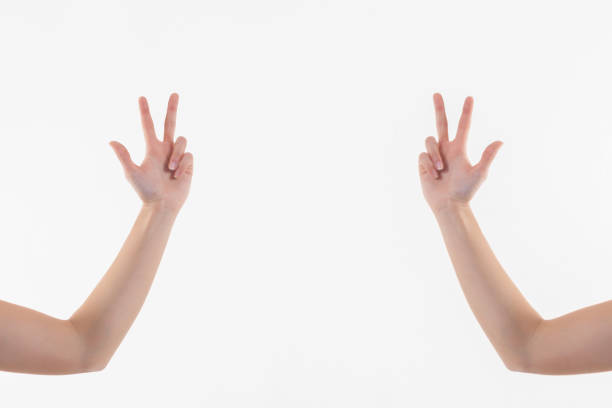istock Collage of woman hands on white backgrounds 912000176