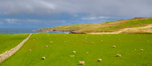 Landscape of the Scottish Highlands