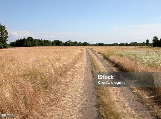 Field Road - Horizonのストックフォトや画像を多数ご用意 - Horizon, カラー画像, ブルース