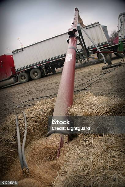 Y De Distancia Foto de stock y más banco de imágenes de Grano - Planta - Grano - Planta, Tornillo para romper el hielo, Granja