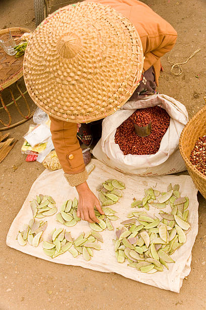 istock Myanmar:  Beans for Sale in Market 91201537