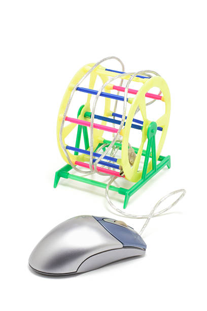 Computer Mouse Treadmill 60+ Mouse Treadmill Stock Photos, Pictures & Royalty-Free Images - iStock