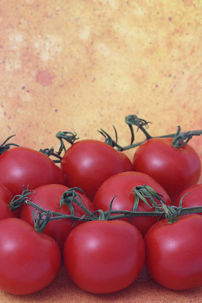 tomatoes stock photo