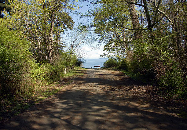 istock country road to beach 91203567
