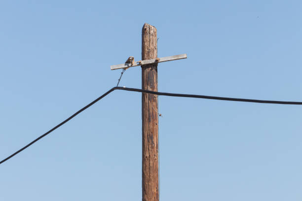 Electicity wires hanging in the blue sky