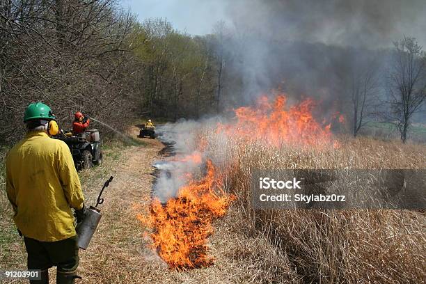 Wildland Fire Fighters Stock Photo - Download Image Now - Firefighter, Fire - Natural Phenomenon, Color Image