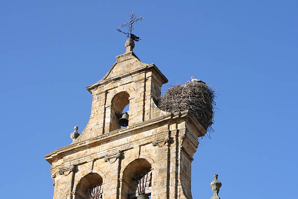 Storks on the church´s tower stock photo