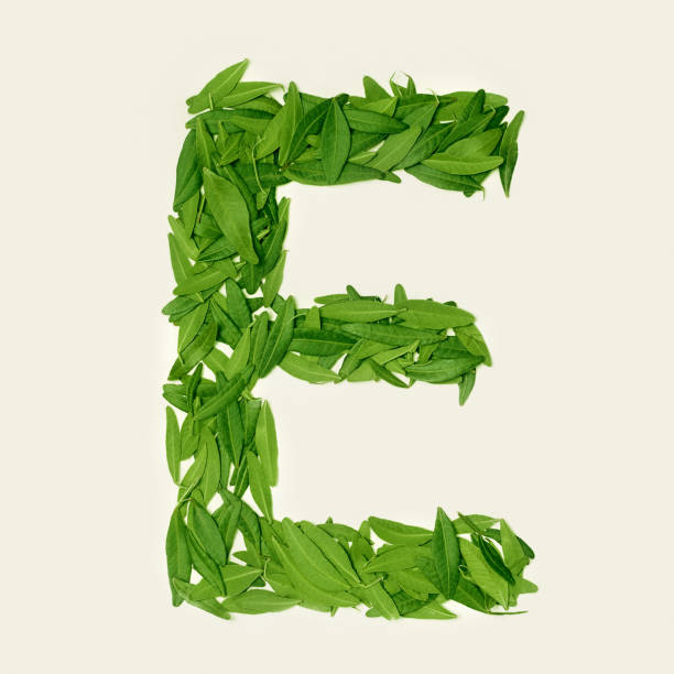 istock The green dry tea leaf, letter E on white background, top view 912046332