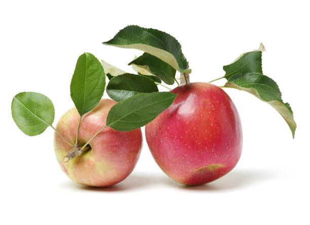 istock Fresh apples and   leaves isolated on white  background 912053480