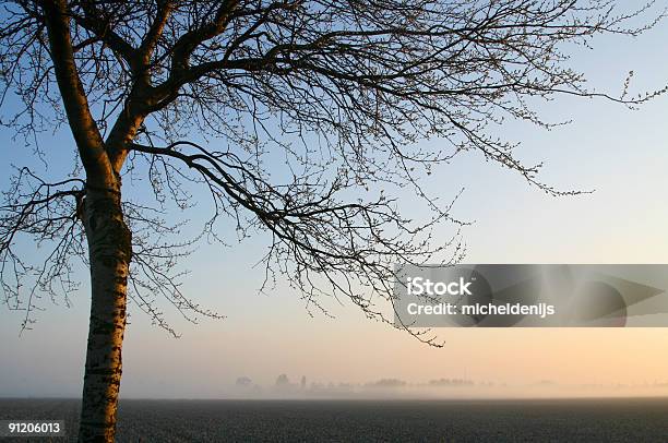 Early Morning Spring Landscape Stock Photo - Download Image Now - Back Lit, Backgrounds, Beauty In Nature